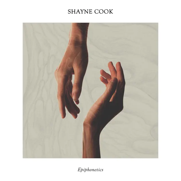 Shayne Cook — Disaster Yet — artwork